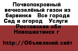 Почвопокровный, вечнозелёный газон из барвинка - Все города Сад и огород » Услуги   . Ростовская обл.,Новошахтинск г.